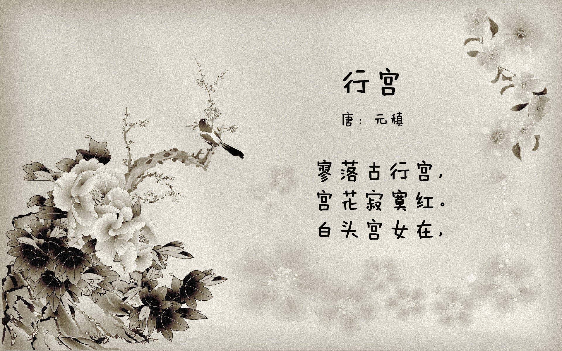 全国青少年“篮球+科技”新项目在广州推介，打造未来新亮点，广州青少年篮球队