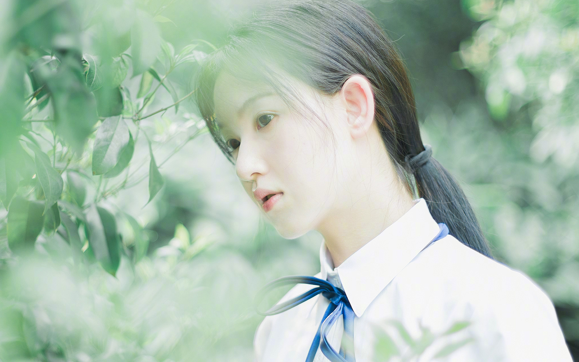 全国青少年足艺赛，足球梦想启航的舞台，全国青少年足球锦标赛