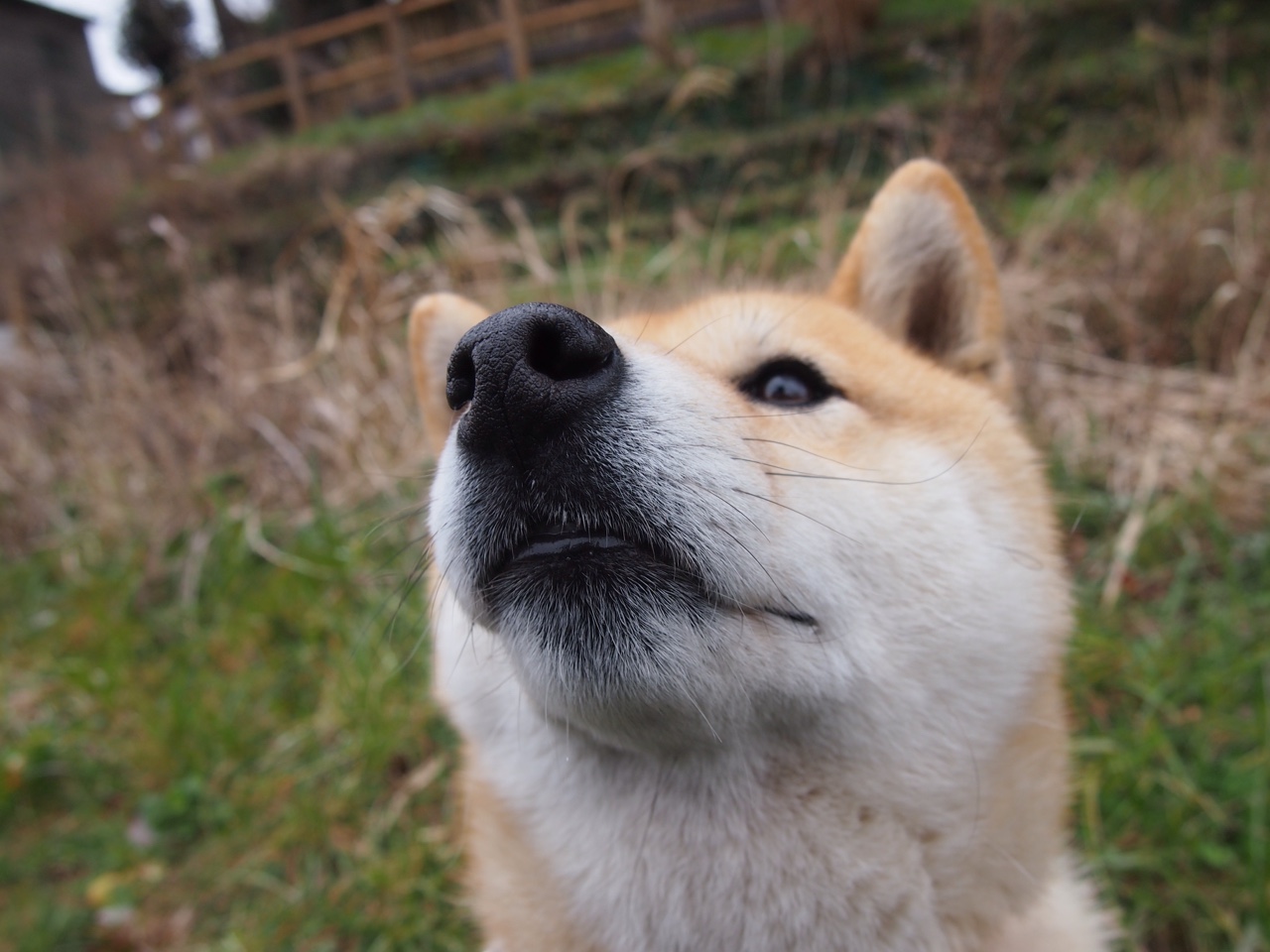 开云全站-76人推出“低碳球迷积分系统”，倡导绿色出行观赛