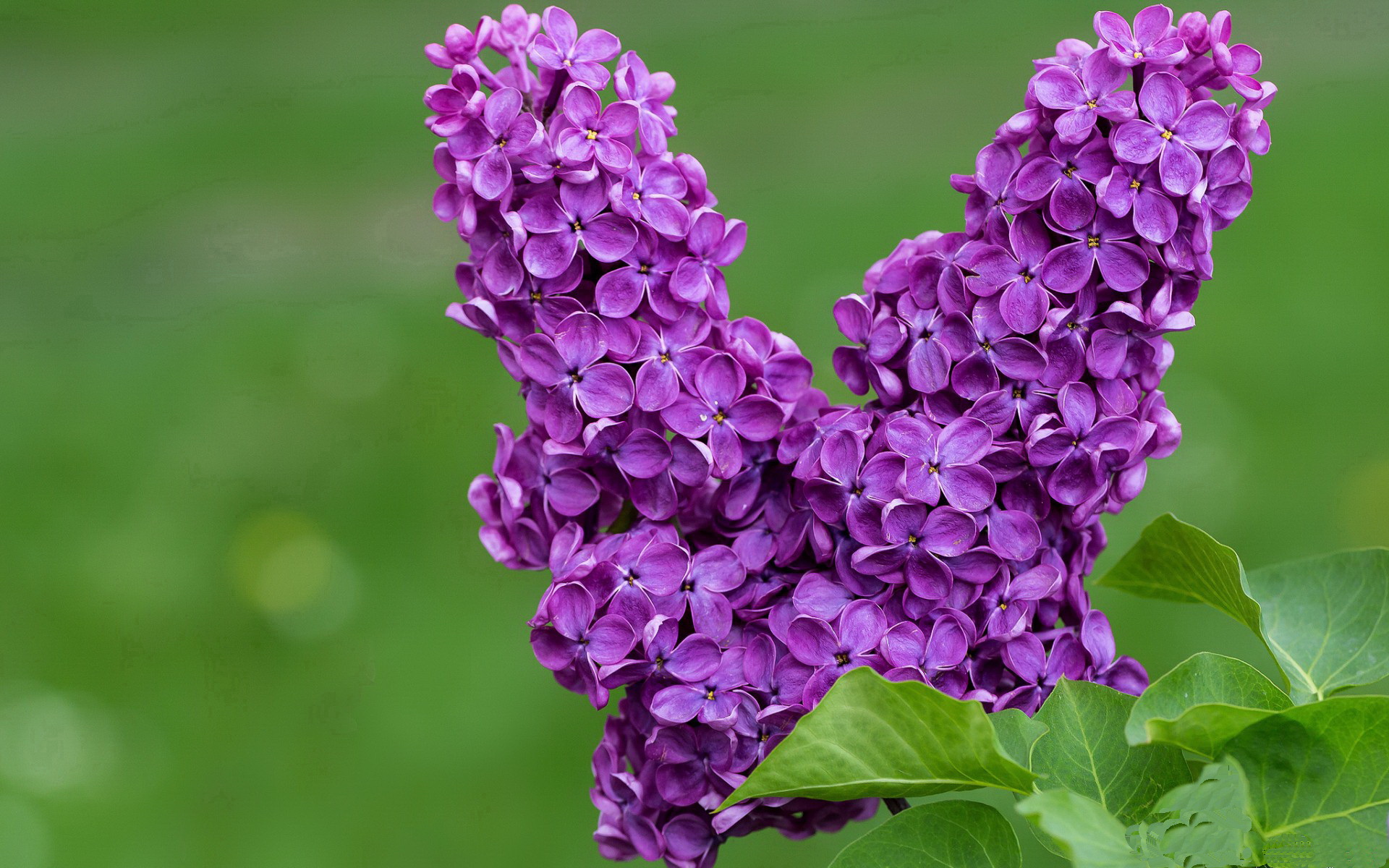 史诗对决：两支超级强队的巅峰碰撞，史诗战队